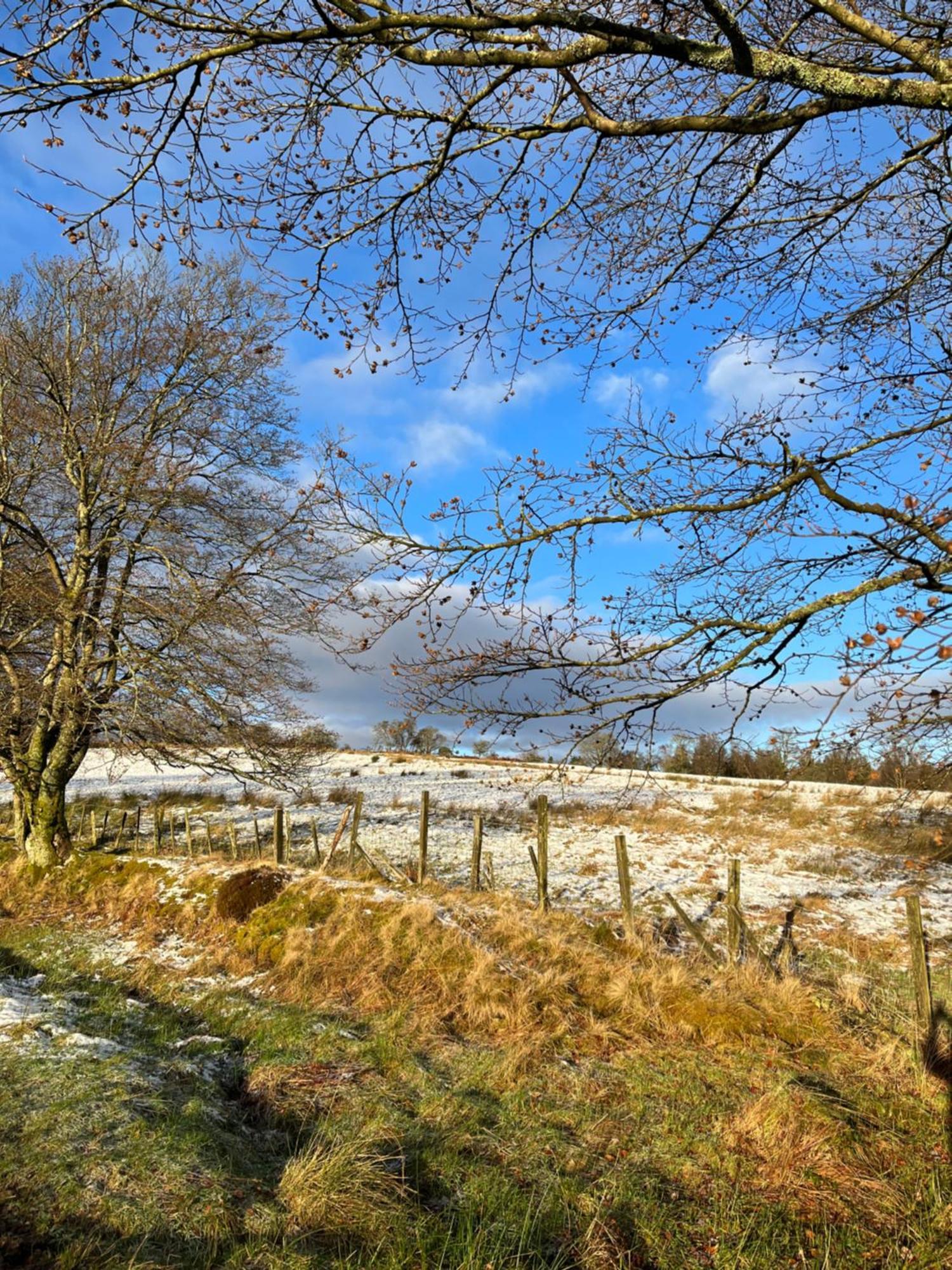 Stoneymollan Over Loch Lomond Balloch Luaran gambar