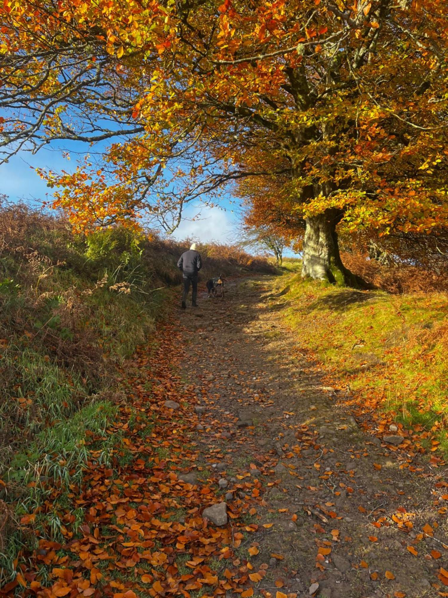 Stoneymollan Over Loch Lomond Balloch Luaran gambar